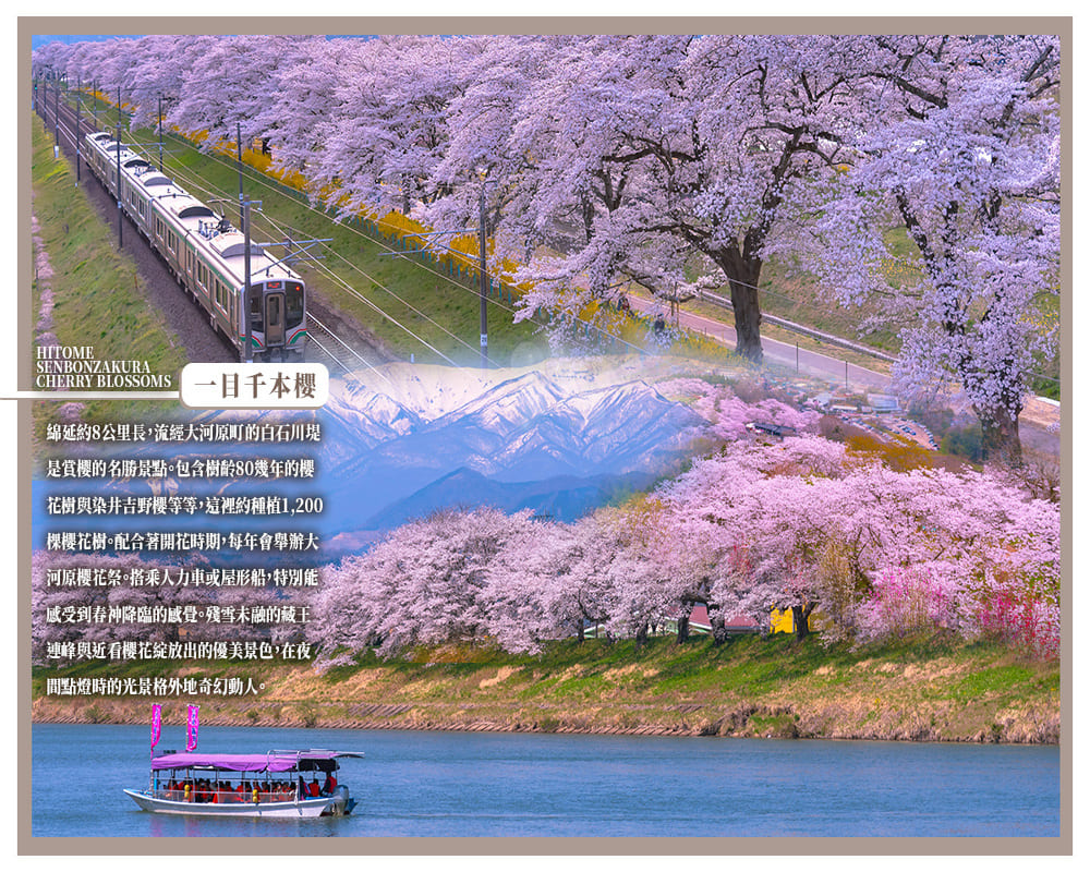 吉航旅遊 精緻假期東北會津鐵道賞櫻船岡城址公園三春瀧櫻花見山