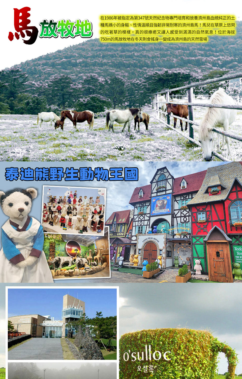 1-2月賞雪下殺↘ 易起嗨玩濟州五日-漢拏山賞雪、跆拳武藝秀