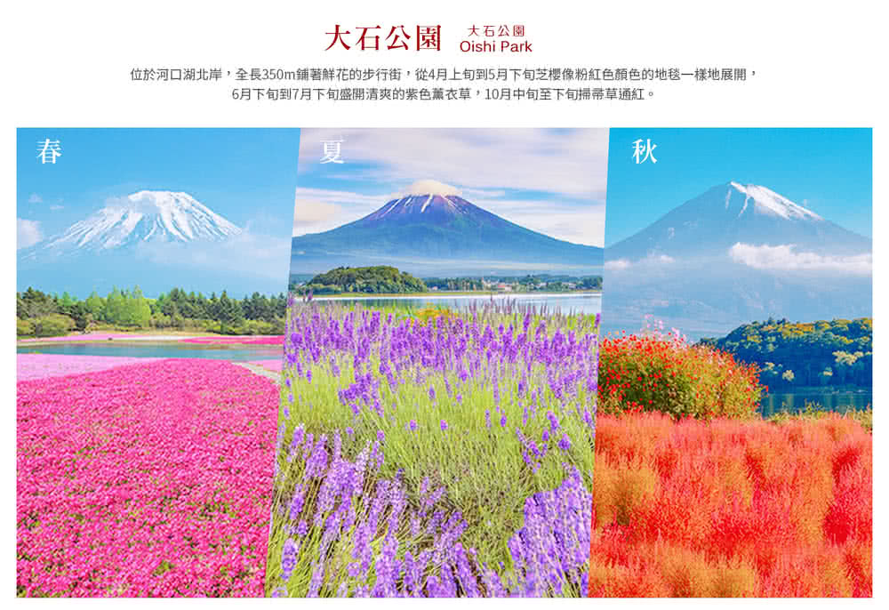 喜鴻假期 【東京水蜜桃採果樂５日】叢林探險巴士、迪士尼、燒肉