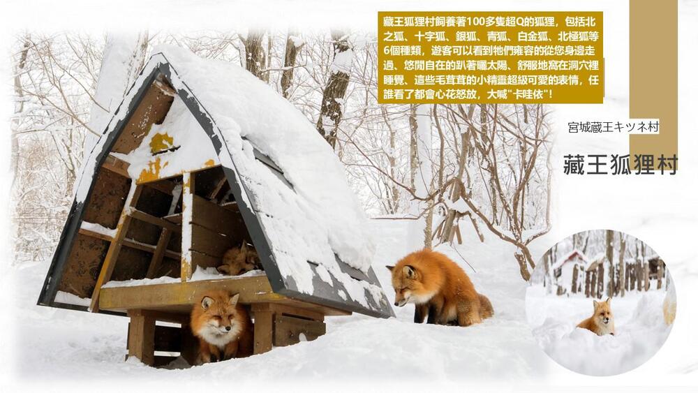 吉航旅遊 精緻假期~東北藏王樹冰銀山溫泉飯豐戲雪樂園水戶偕樂