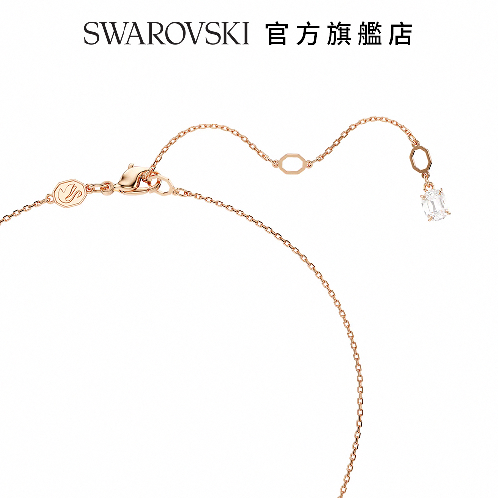 SWAROVSKI å®æ¹æè¦åº 