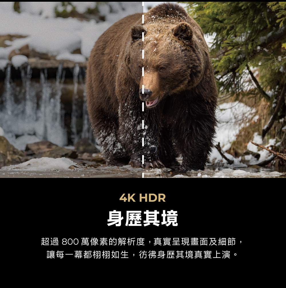 AIWA愛華 AI-55QL24 - 詳情15