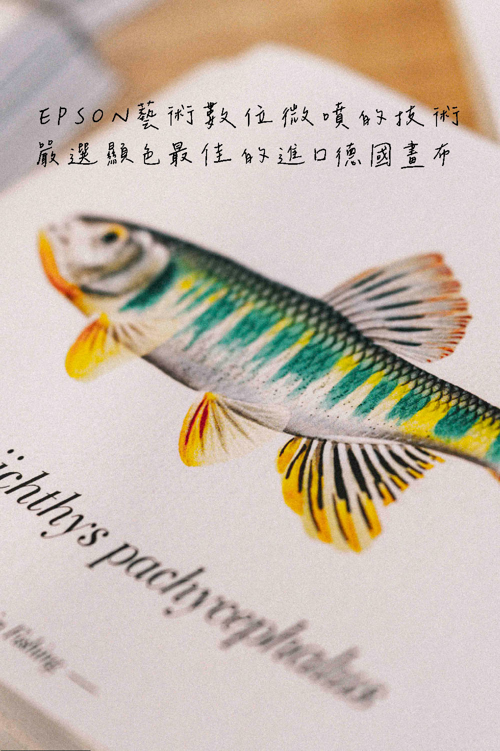 EPSONèè¡æ¸ä½å¾®å´çæè¡ å´é¸é¡¯è²æä½³çé²å£å¾·åç«å¸ 