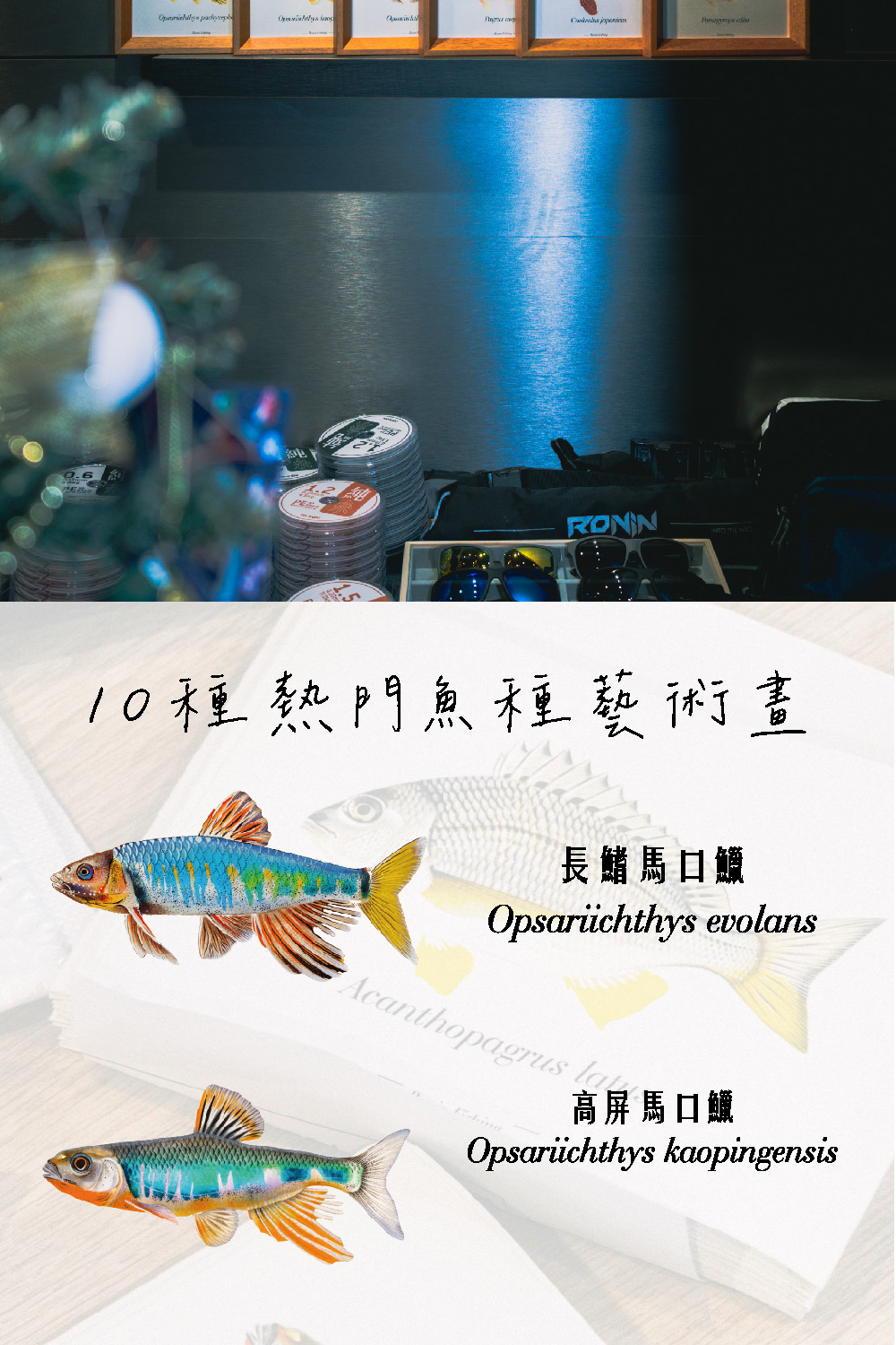10ç¨®ç±éé­ç¨®èè¡ç« é«å±é¦¬å£é±² 