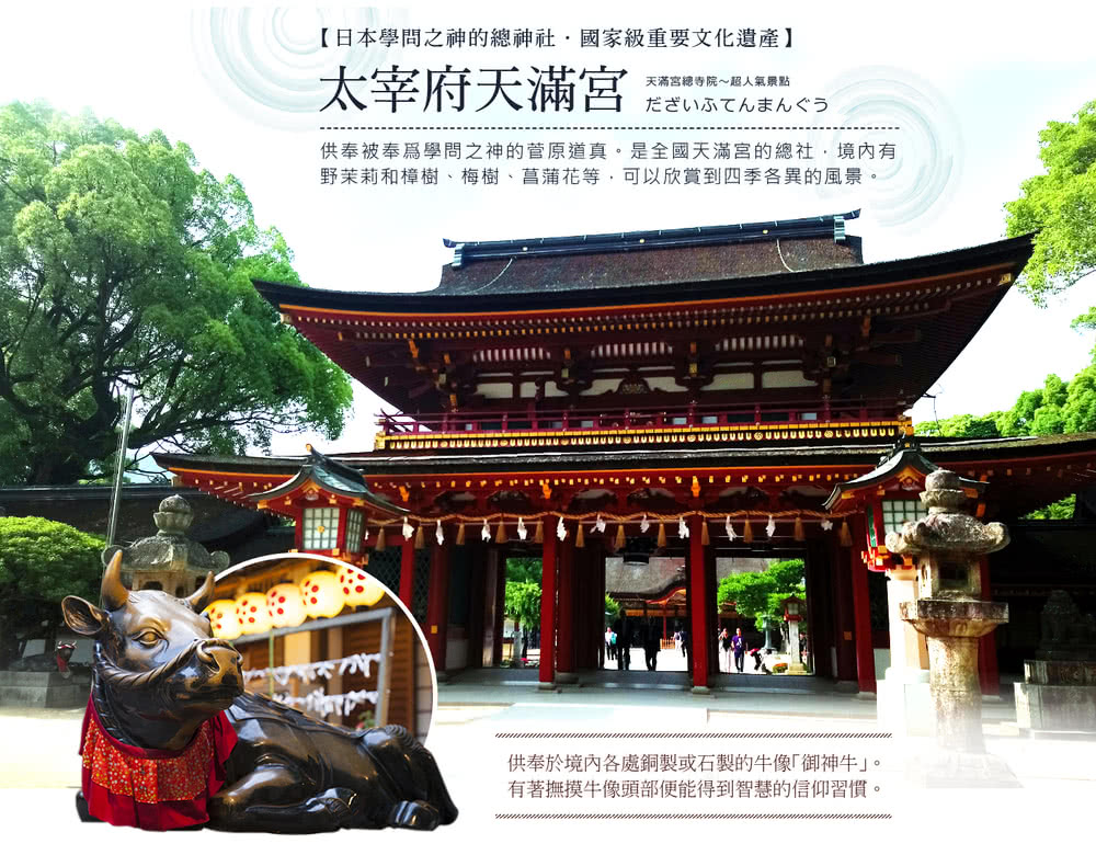 喜鴻假期 【高雄出發．紫愛九州海陸空５日】夢幻紫藤、熊本高速