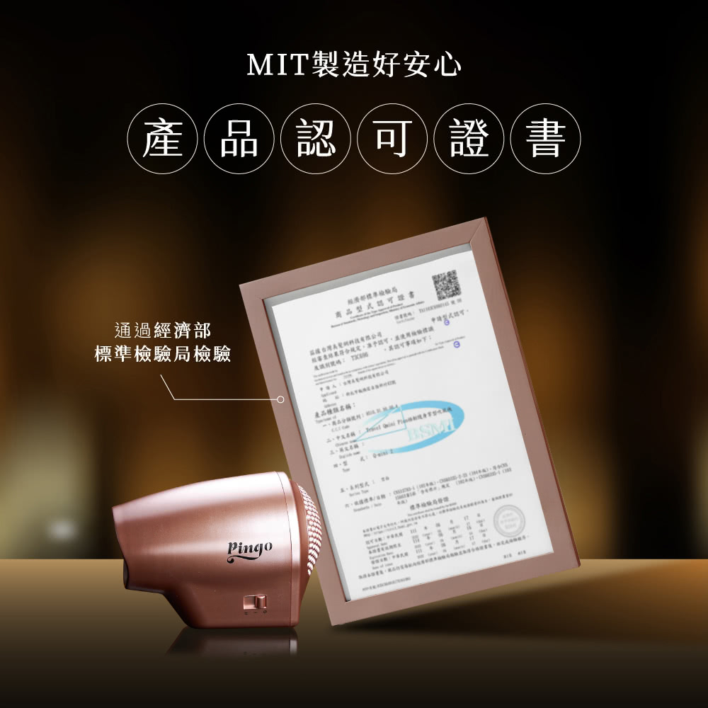 經審查結果符合規定,准予認可,並使用輪輪體議