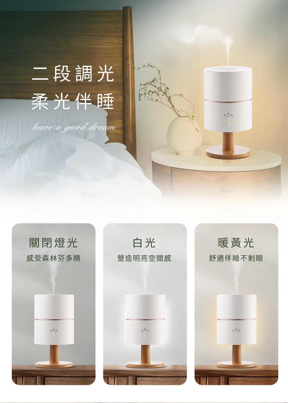 感受森林芬多精