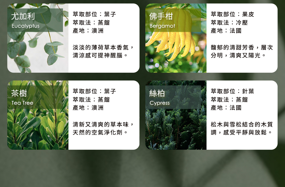 æ·¡æ·¡çèè·èæ¬é¦æ°£,