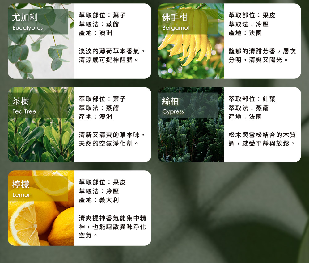 淡淡的薄荷草本香氣,