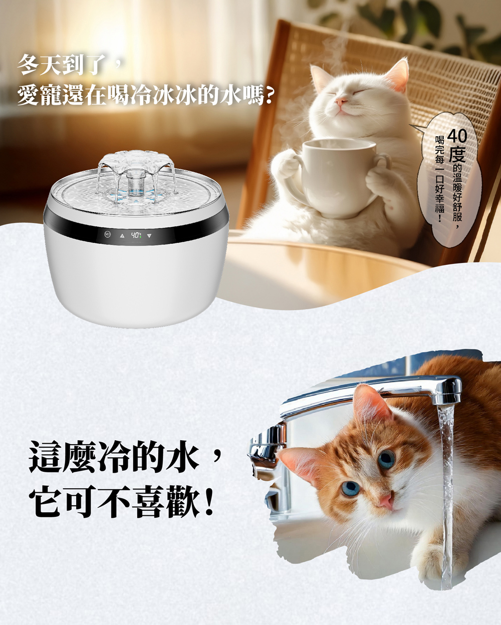 愛寵還在喝冷冰冰的水嗎