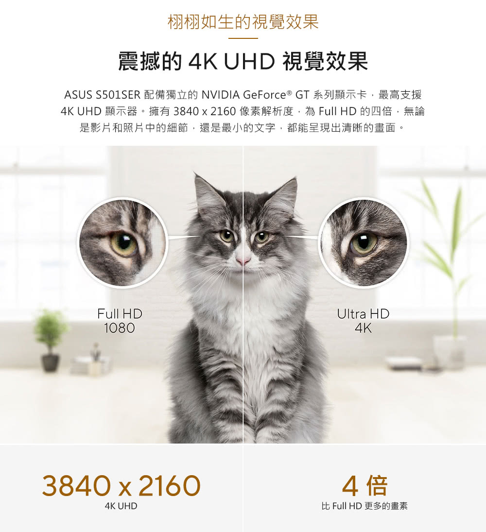 ASUS S501SER 配備獨立的 NVIDIA GeForce GT 系列顯示卡,最高支援