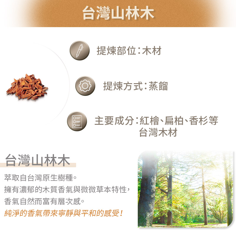 ANDZEN 複方精油30ml(台灣山林木)品牌優惠