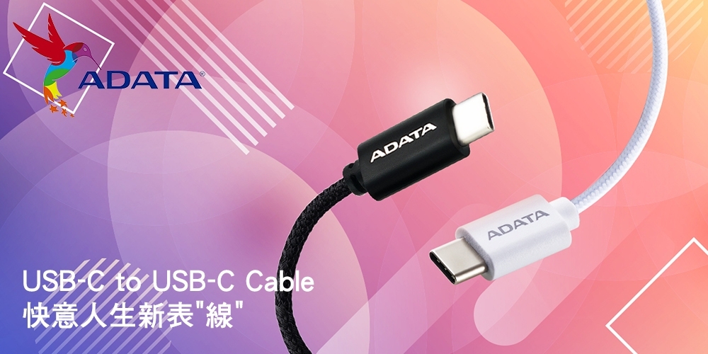 ADATA 威剛 TYPE C 100W PD 快充傳輸線-