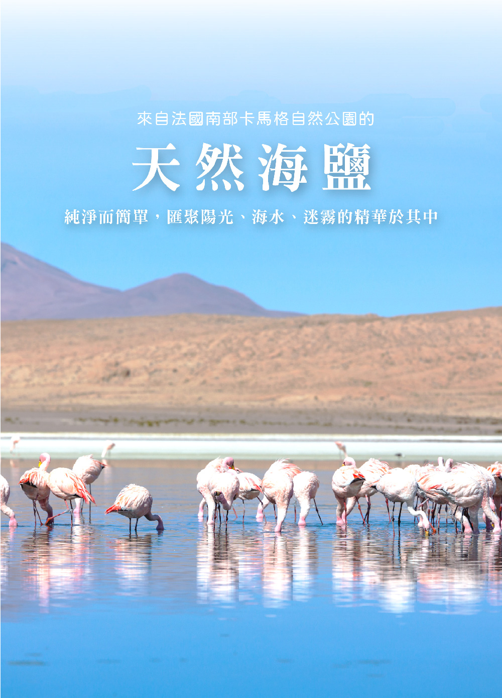 PURESENCE 樸香氛 法國馬賽皂之家典雅玫瑰卡馬格沐浴