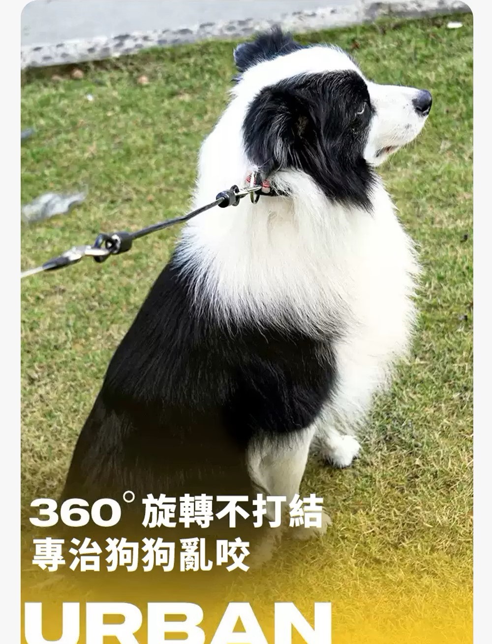 360旋轉不打結 專治狗狗亂咬 