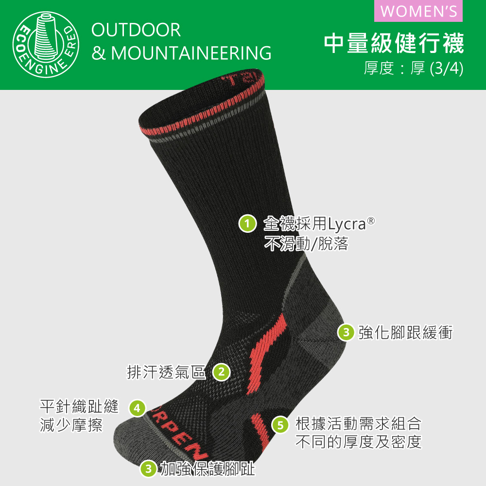 Lorpen T2 女美麗諾羊毛健行襪 T2MWE(羊毛襪 