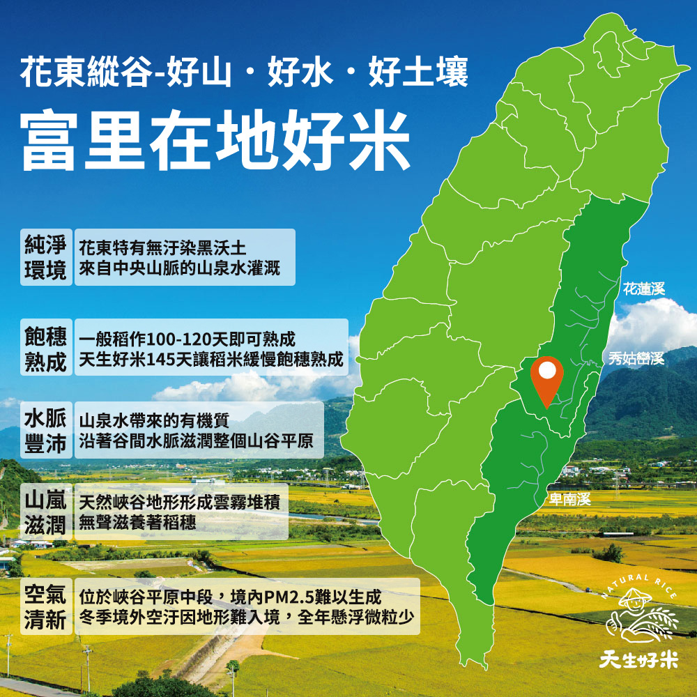 天生好米 富里5號米3KG(2入組)優惠推薦