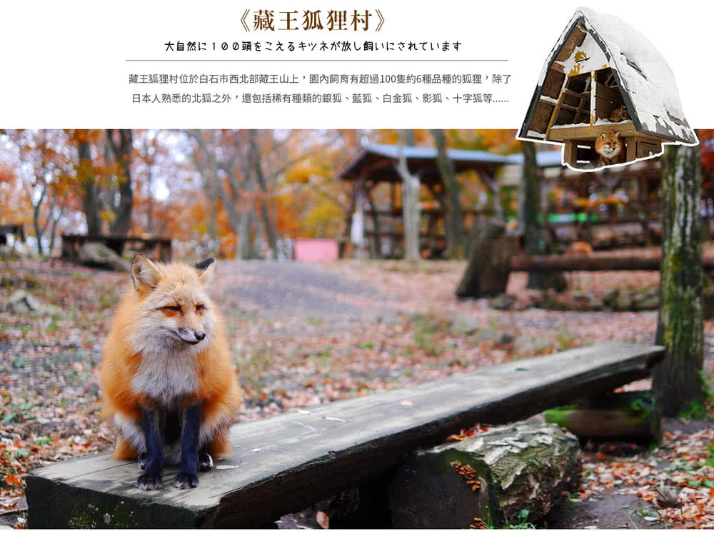 喜鴻假期 【春櫻漫漫東北５日】豬苗代湖、大內宿、會津若松城、