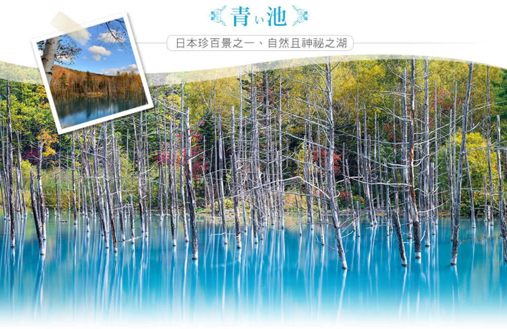 喜鴻假期 【長榮特惠春旅北海道５日】熱氣球升空、小樽水族館、