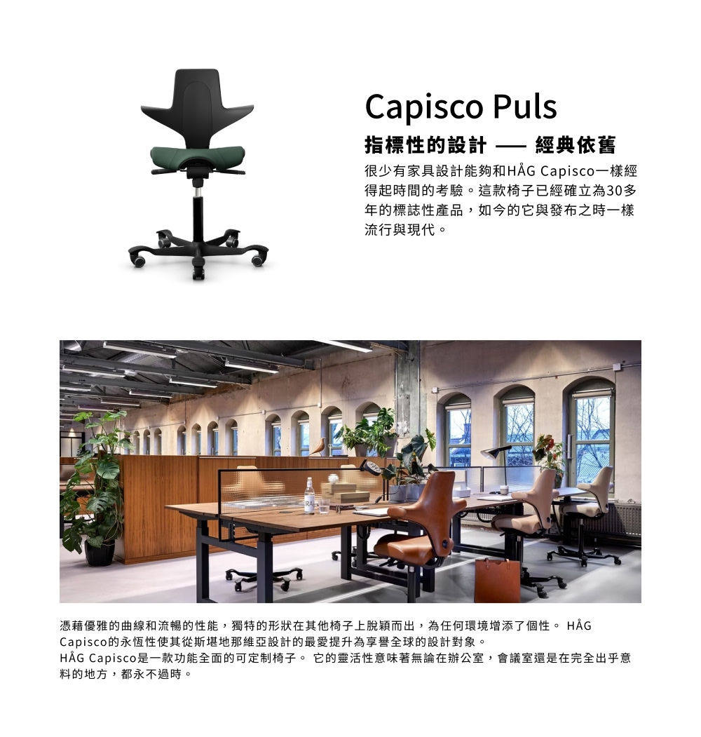 HAG ystore雅浩家具 Capisco Puls 森林