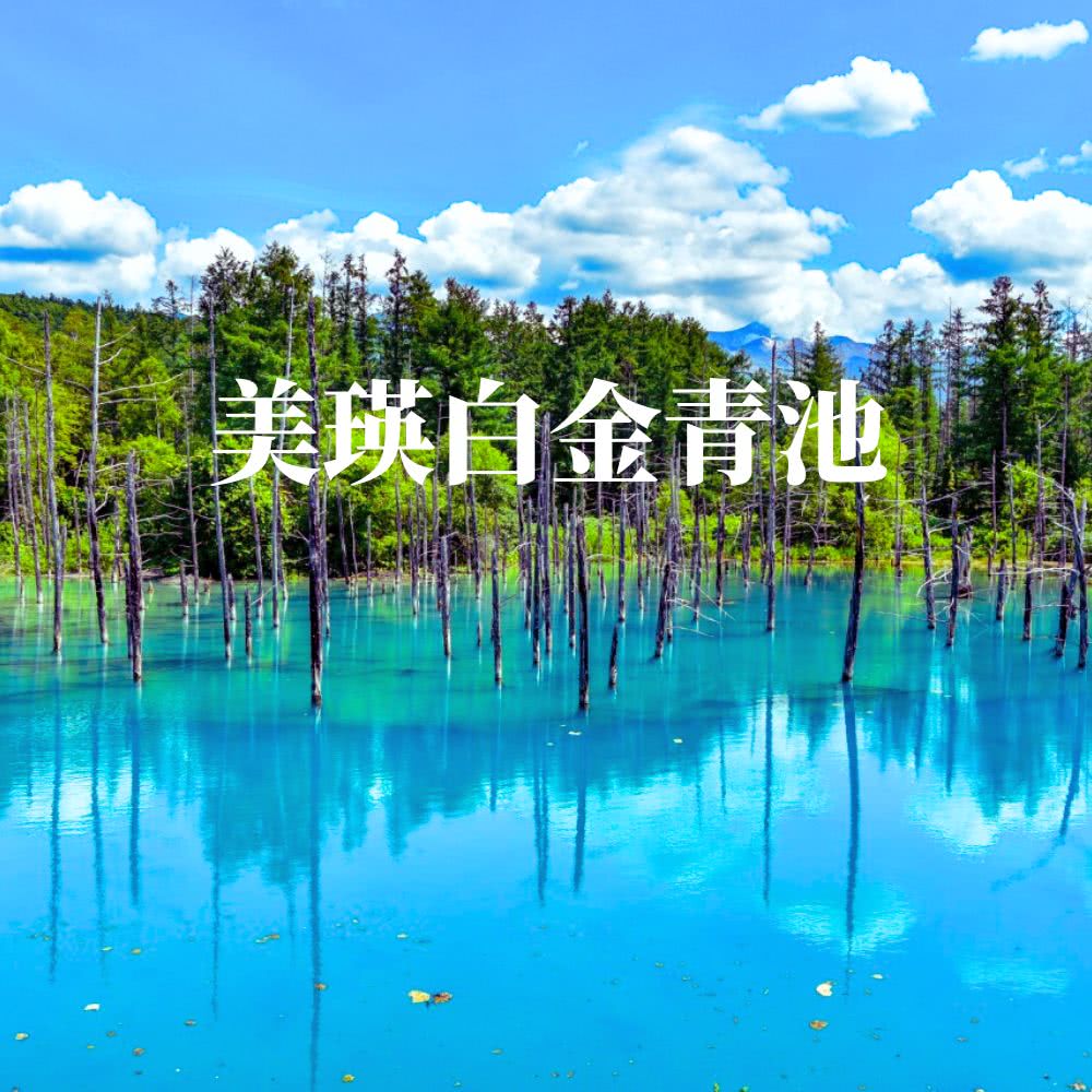 特惠北海道輕鬆半自助五日 白金青池、浪漫小樽、洞爺溫泉(一晚