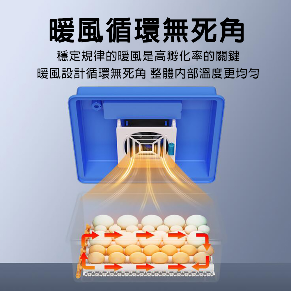 佳裕 48枚孵蛋器 保溫箱 保雞蛋孵化機 智慧控溫箱 全自動