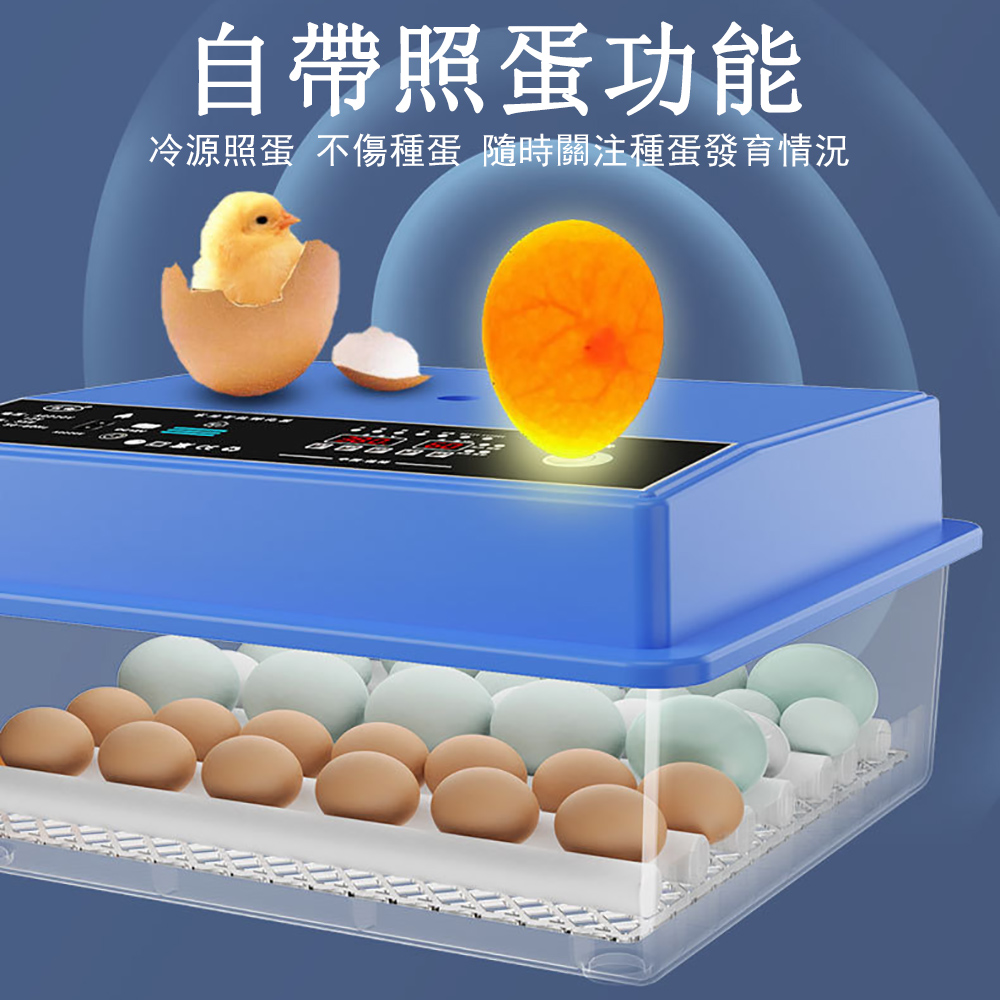 佳裕 56枚孵蛋器 全自動孵蛋機 抽屜式孵蛋機(小雞鴨鵝孵化