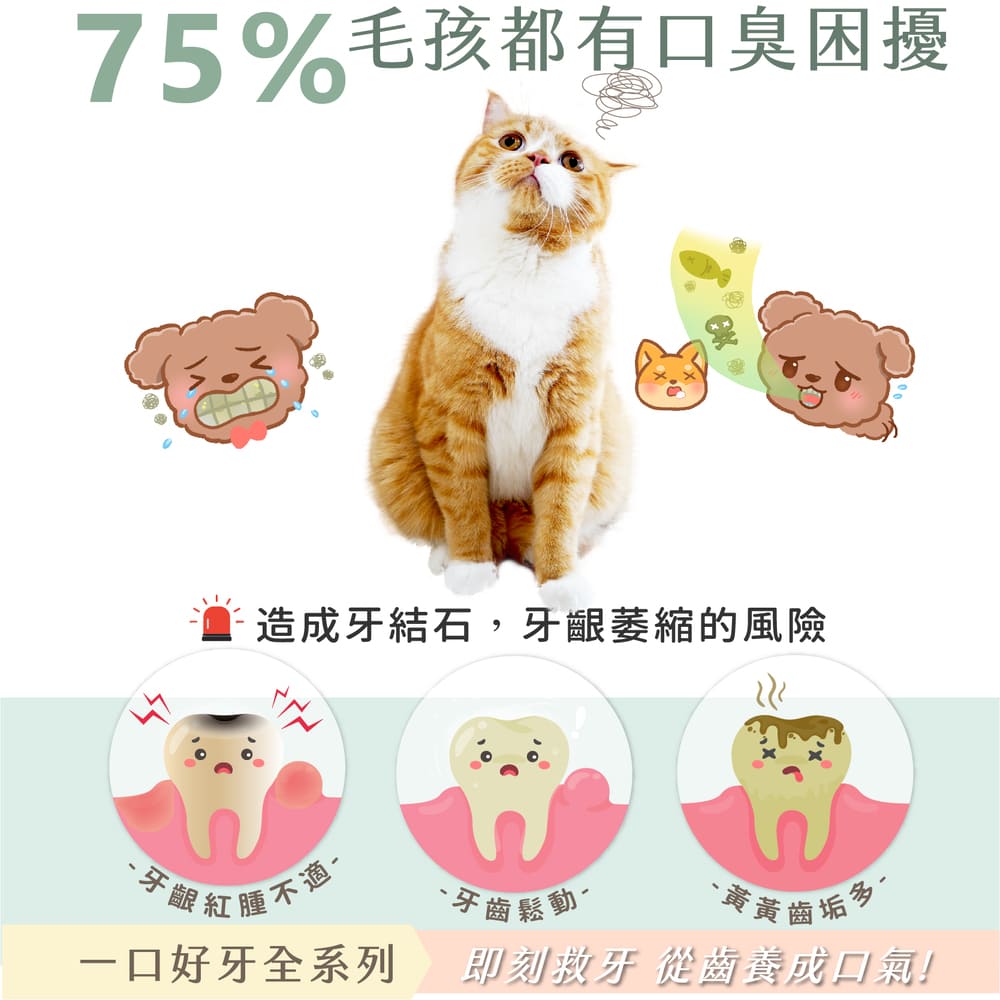 GOODMO 歸毛家族 全方位牙周修護組合 齒留香噴液 護齒