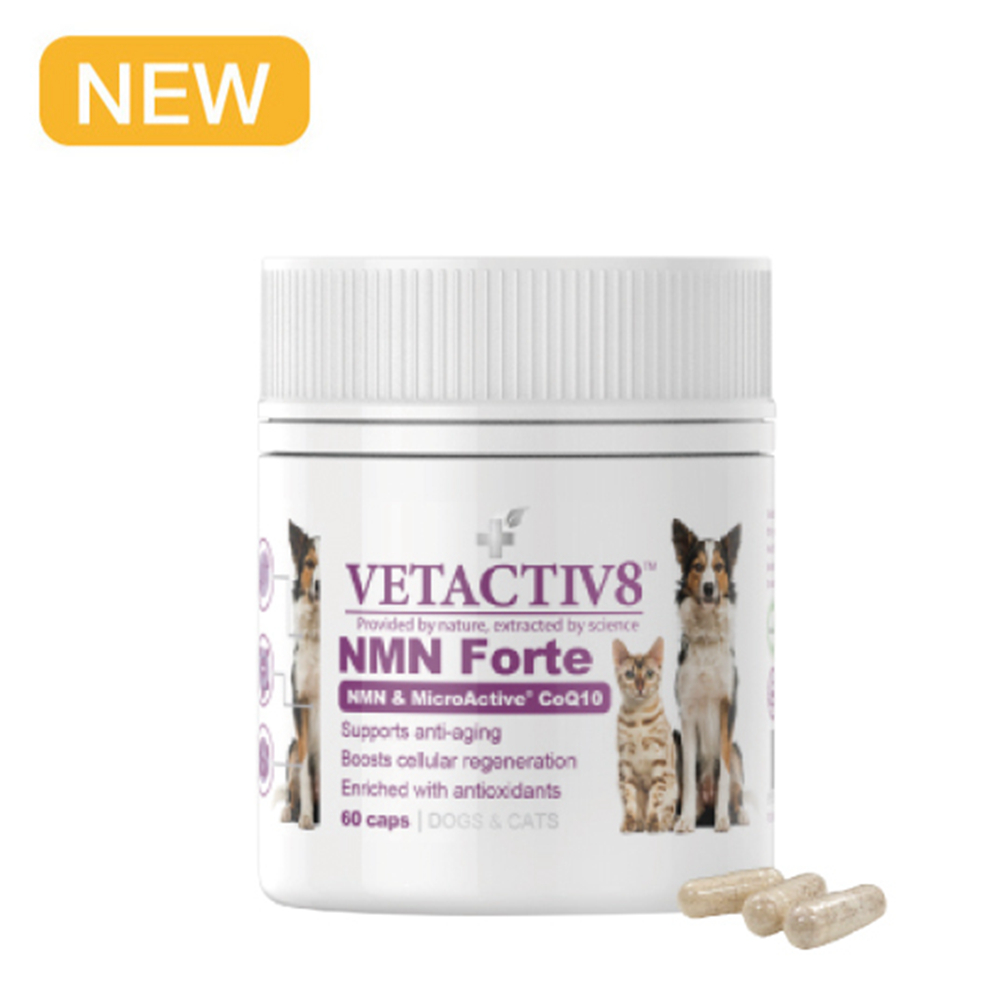 VETACTIV8 澳力8 NMN 健康不老 年輕膠囊60顆