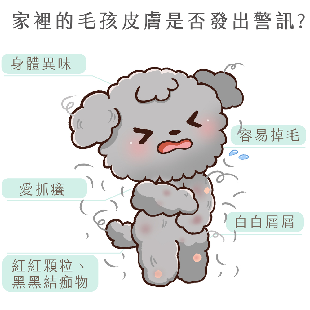 GOODMO 歸毛家族 皮在癢方案組(舒敏保濕洗毛乳300m