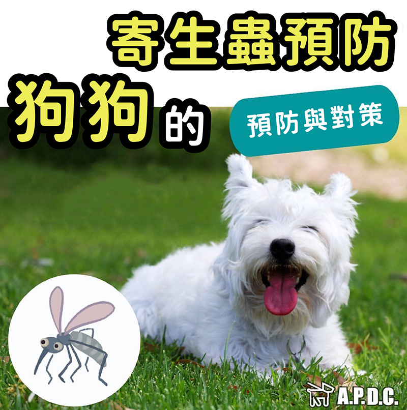APDC 防蚊驅蟲噴霧 125ml 狗狗專用(寵物外出散步驅