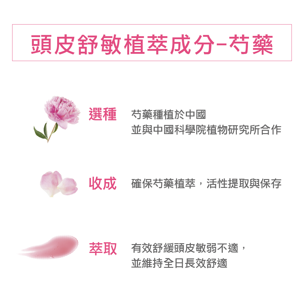 收成 確保芍藥植萃,活性提取與保存