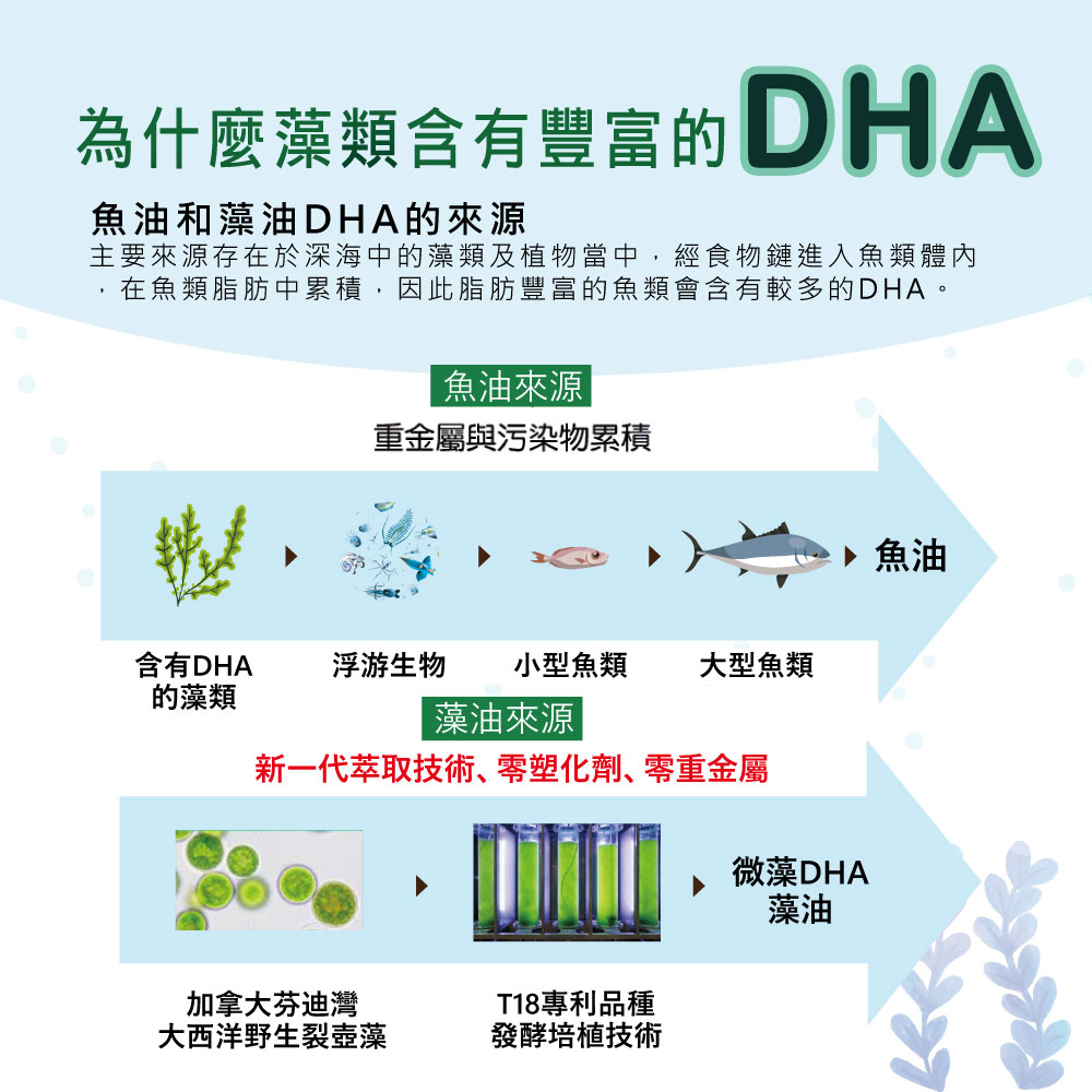 主要來源存在於深海中的藻類及植物當中,經食物鏈進入魚類體內