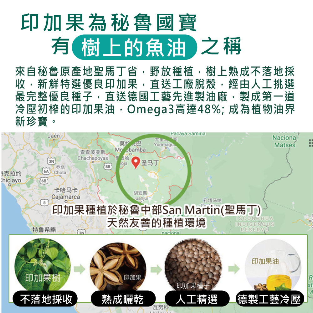 冷壓初榨的印加果油,Omega3高達48%成為植物油界