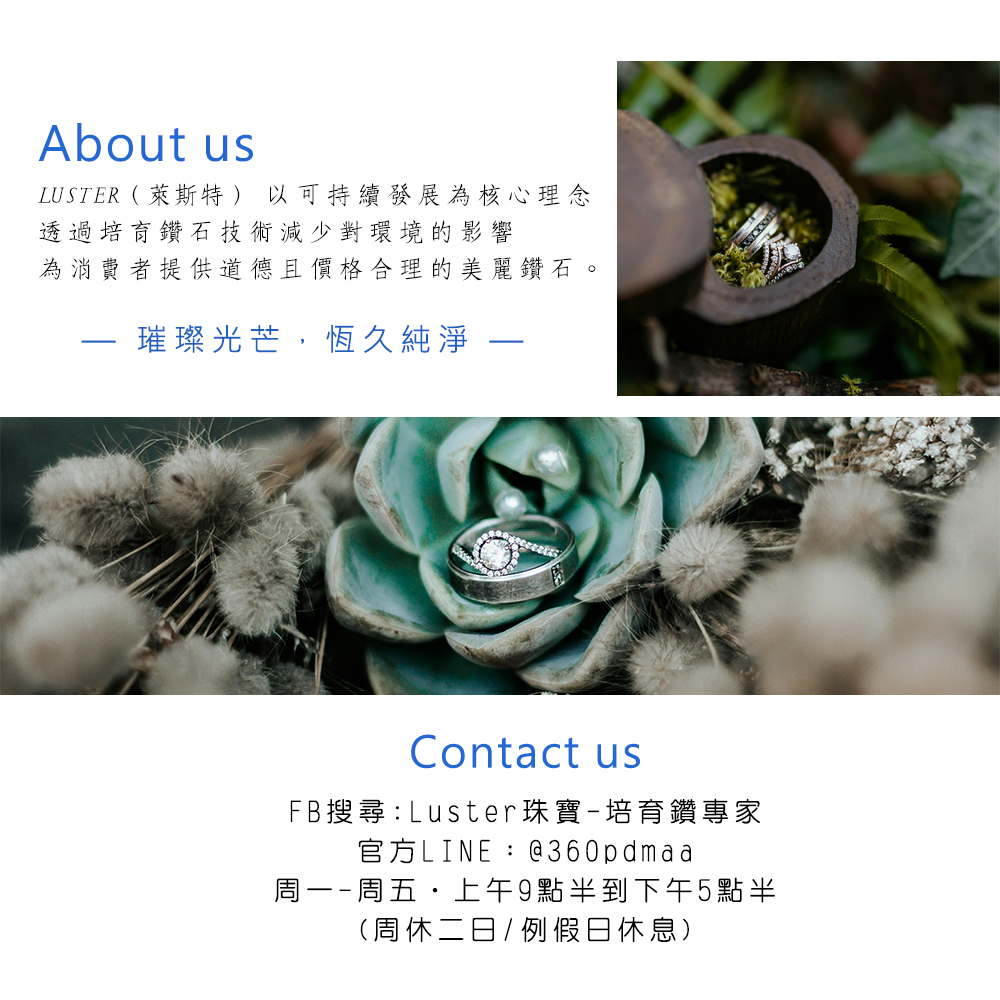 LUSTER èæ¯ç¹ä»¥å¯æçºç¼å±çºæ ¸å¿çå¿µ