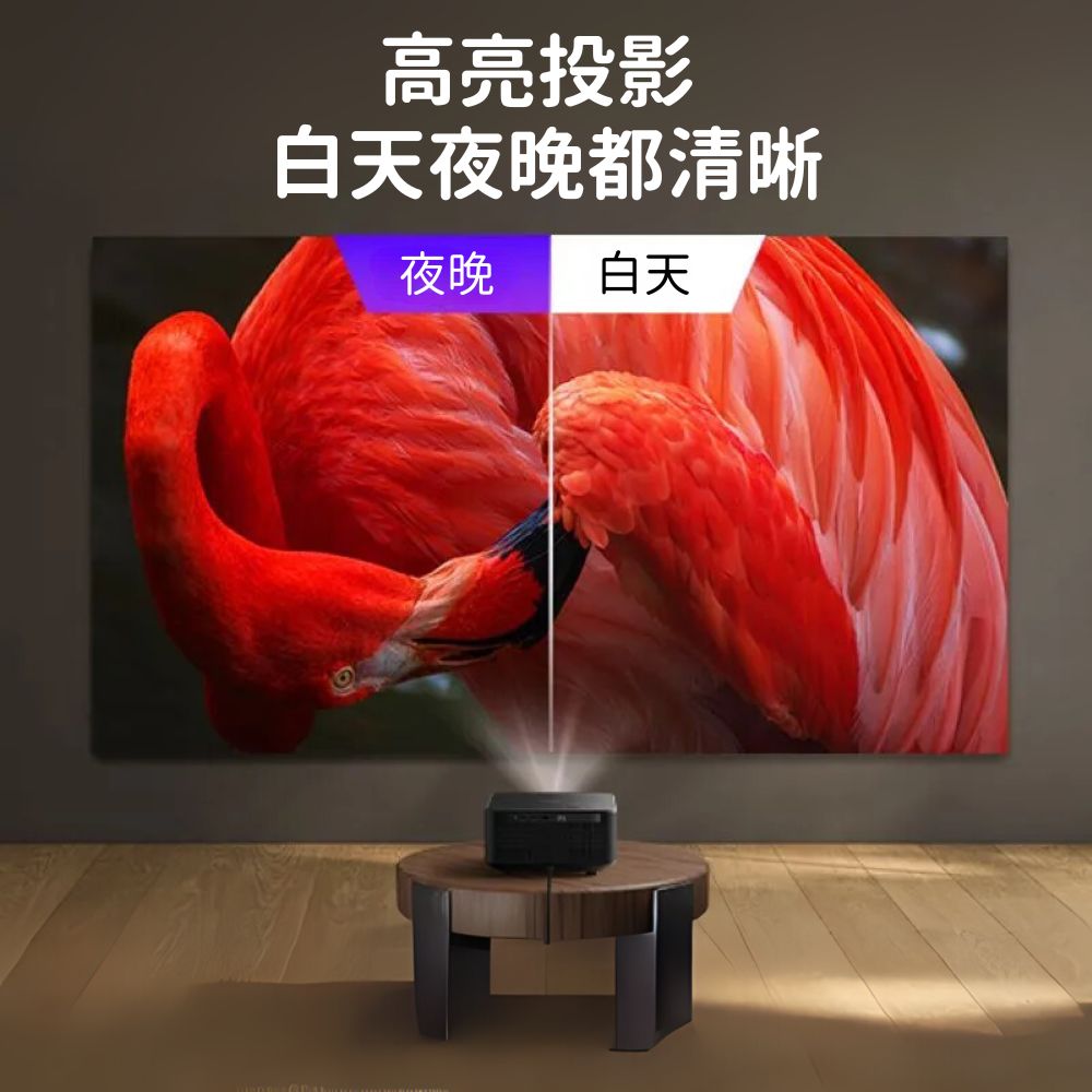 高亮投影 白天夜晚都清晰 夜晚 白天 