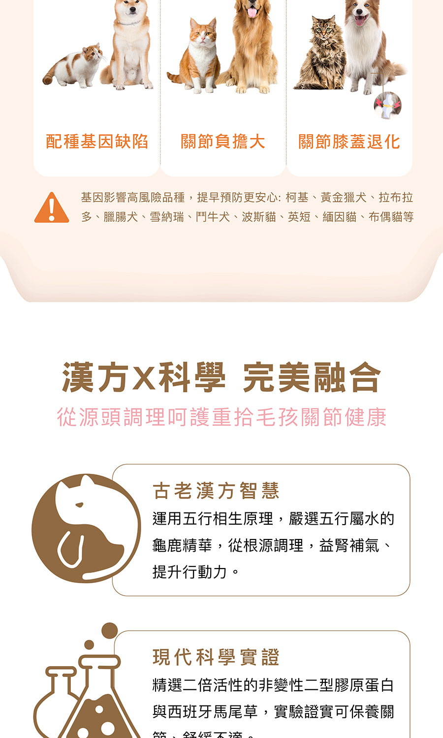 多、臘腸犬、雪納瑞、鬥牛犬、波斯貓、英短、緬因貓、布偶貓等