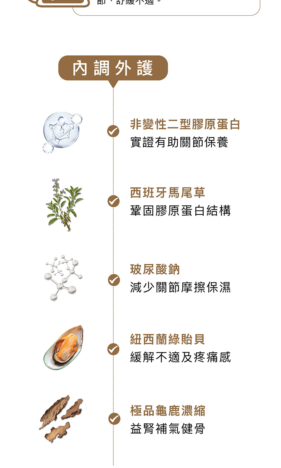 非變性二型膠原蛋白
