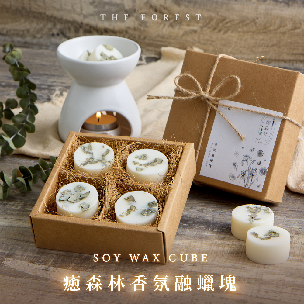çæ£®æé¦æ°èè å¡ 