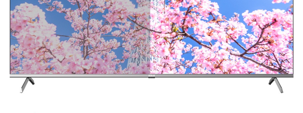 HERAN禾聯 65HQX-F1 - 詳情12