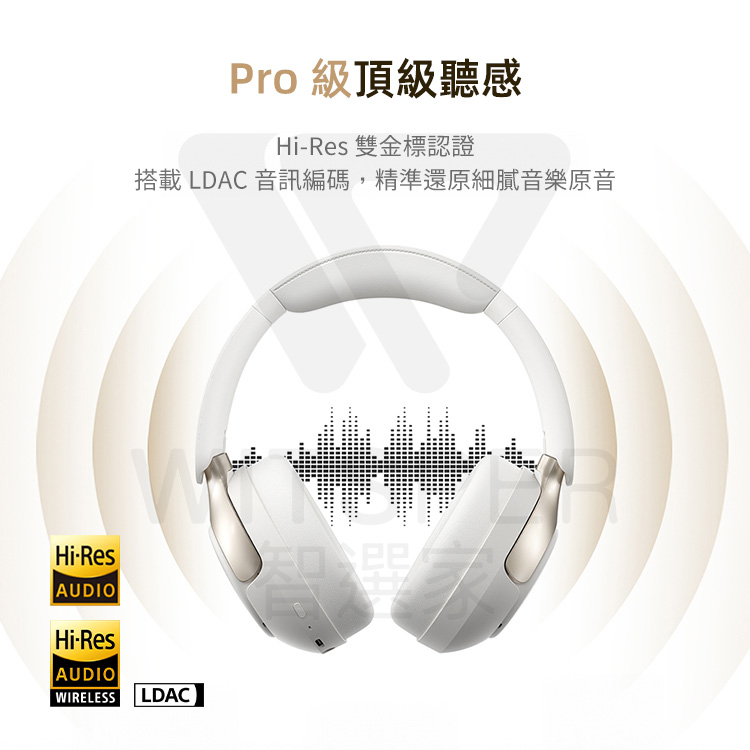 Pro 級頂級聽感 HiRes 雙金標認證 搭載 LDAC 音訊編碼,精準還原細膩音樂原音 