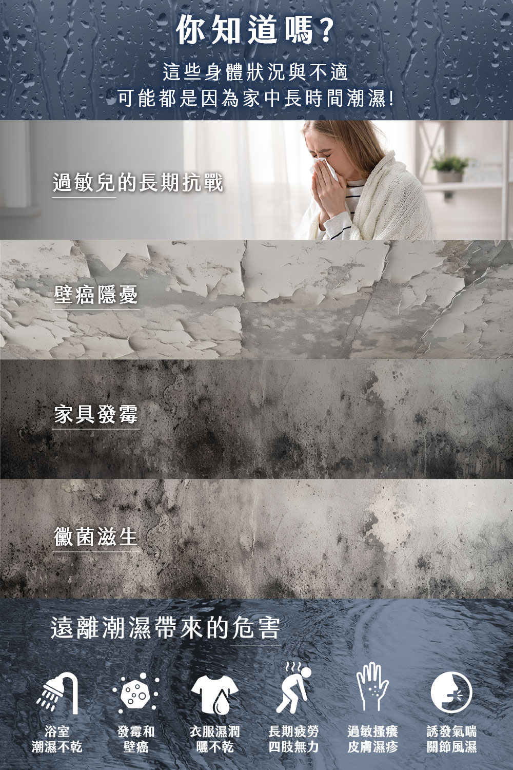可能都是因為家中長時間潮濕