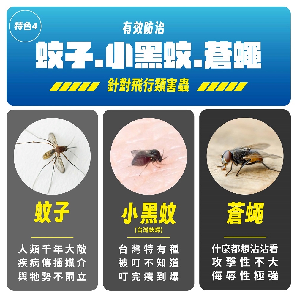 蚊子.小黑蚊.蒼蠅
