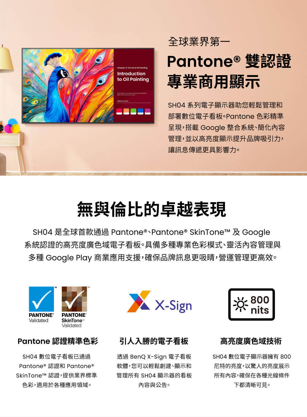 BenQ明碁 SH5504 - 詳情2