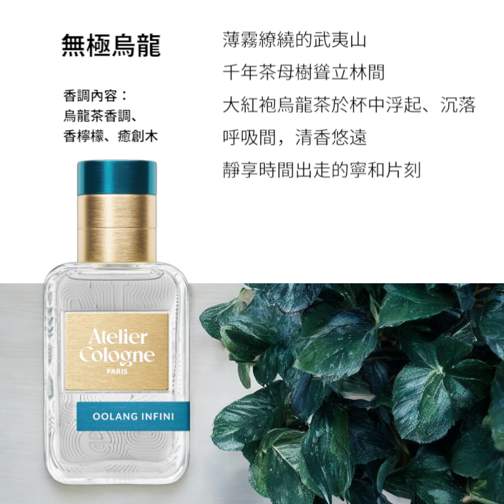 大紅袍烏龍茶於杯中浮起、沉落