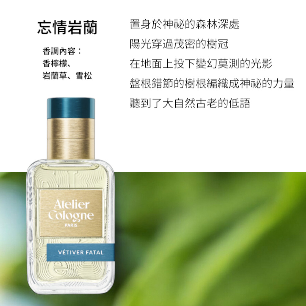 盤根錯節的樹根編織成神秘的力量