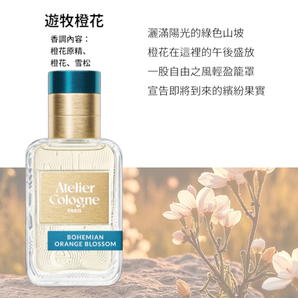宣告即將到來的繽紛果實