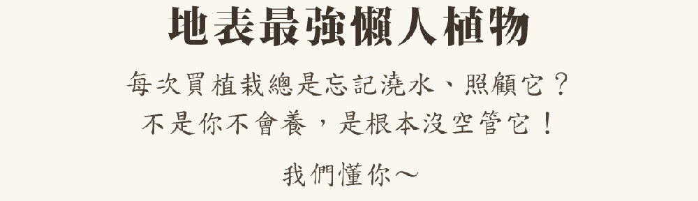 地表最強懒人植物 每次買植栽總是忘記澆水、照顧它 不是你不會養,是根本沒空管它 我們懂你 