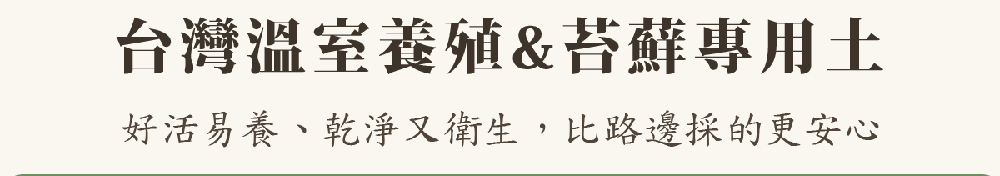 台灣溫室養殖苔蘚專用土 好活易養、乾淨又衛生,比路邊採的更安心 