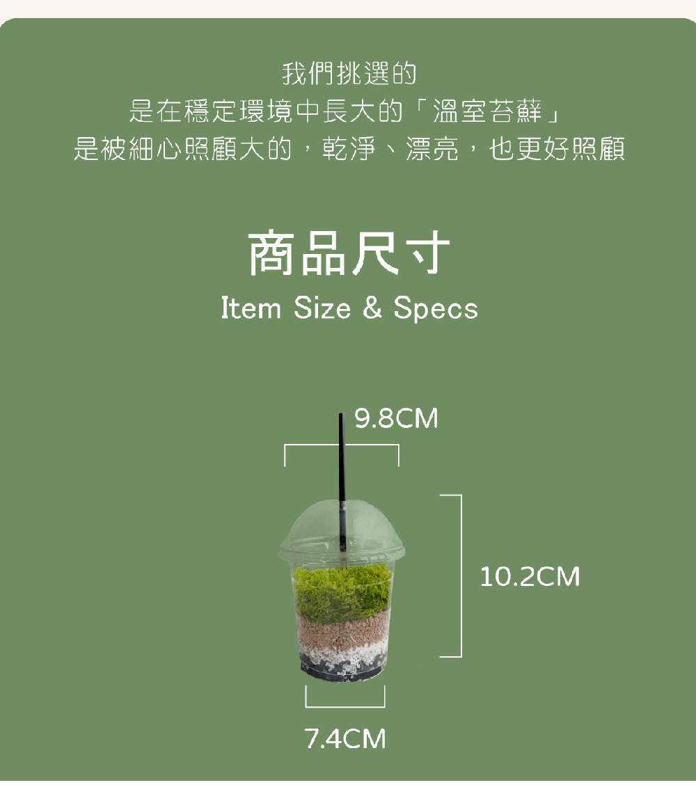 我們挑選的 是在穩定環境中長大的溫室苔蘚 是被細心照顧大的,乾淨、漂亮,也更好照顧 商品尺寸 